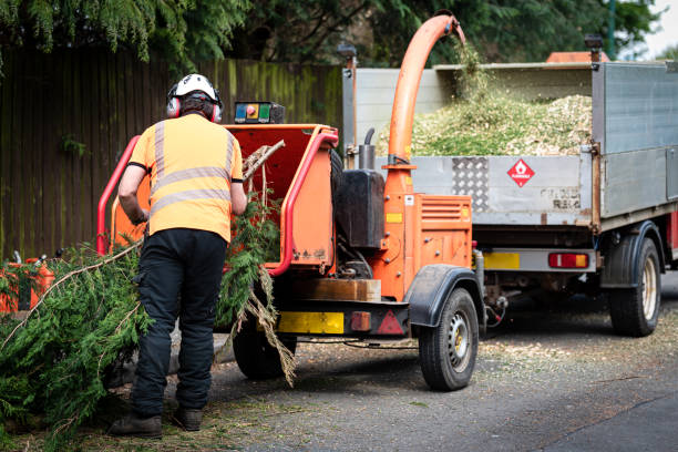 Best Lawn Watering Services  in Sturgis, KY