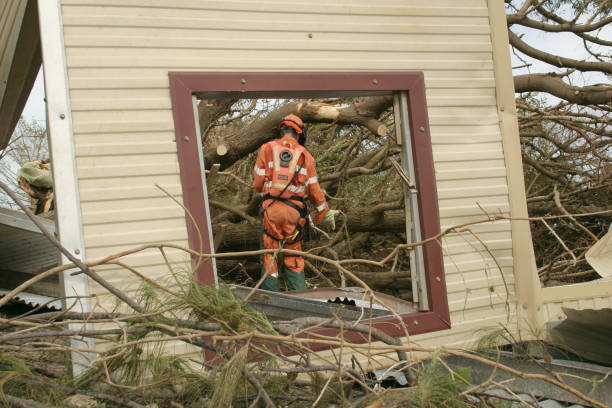 How Our Tree Care Process Works  in  Sturgis, KY